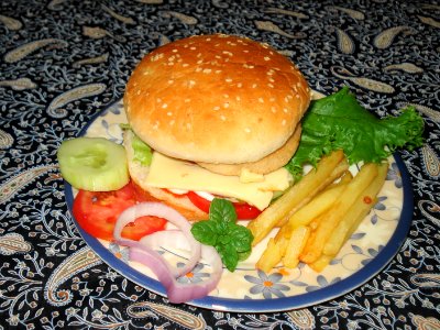 Hamburger 2 photo