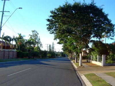 Ham Road Wishart