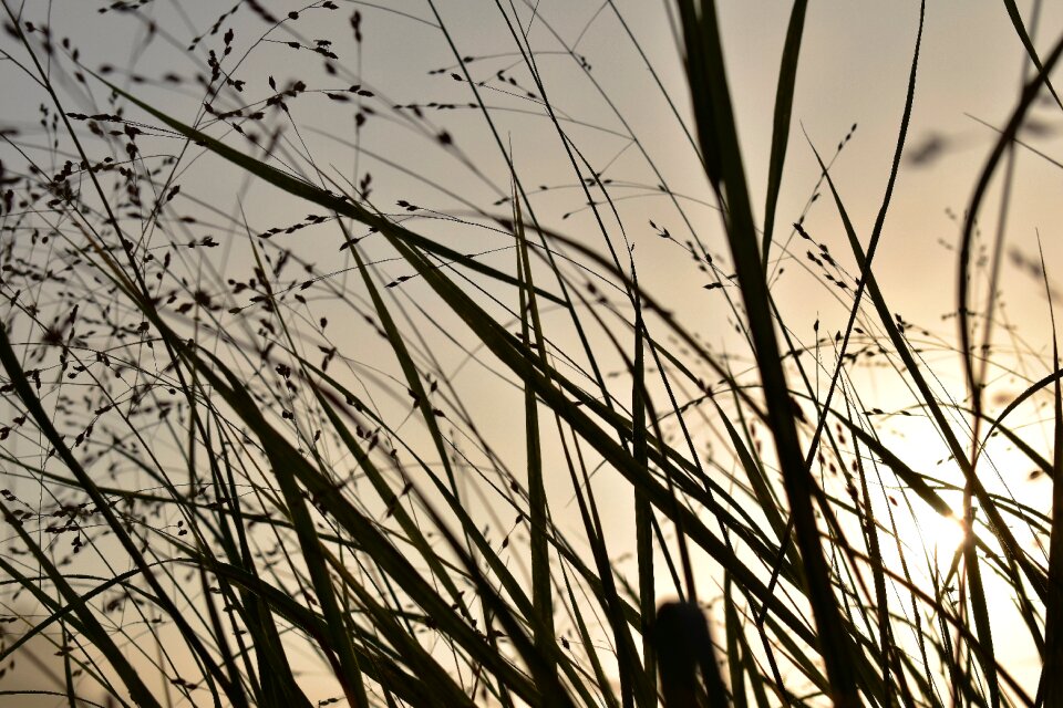 Backlighting sunrise landscape