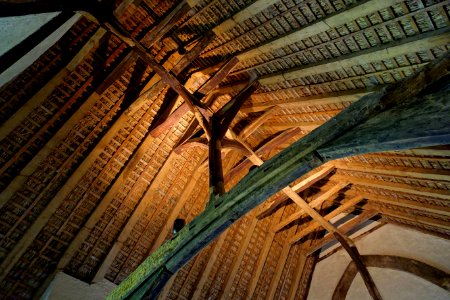 Hall ceiling - Alfriston Clergy House - Alfriston, East Sussex, England - DSC05109