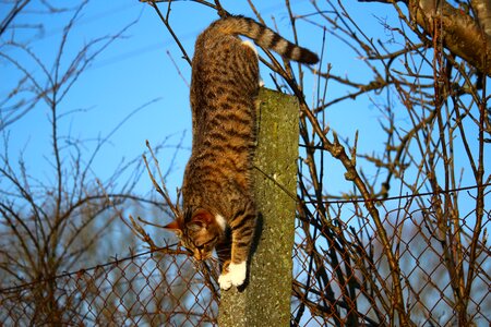 Mieze post climb