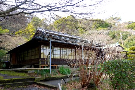 Hall with wisteria - Eishō-ji - Kamakura, Kanagawa, Japan - DSC08142