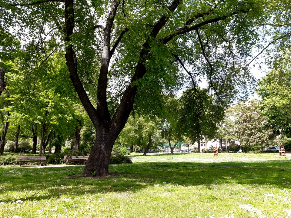 Halle Thomas-Müntzer-Park (2)
