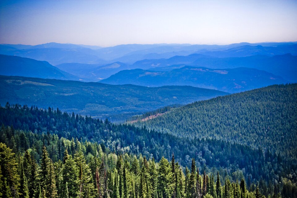 Blue forest mountain landscape