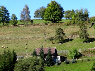 Hanglage in Reichenbach (Schmalkalden)