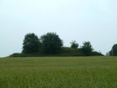 Hannut-Tumulus van Blehen (1)