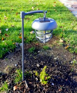 Hanging solar pathway light - Arlington, MA - 20201116 092456