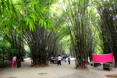 Hanging out - Wangjianglou Park - Chengdu, China - DSC05777