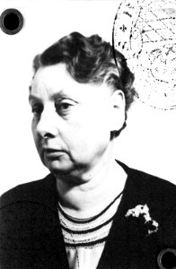 Hanna Holzer Kennkartendoppel