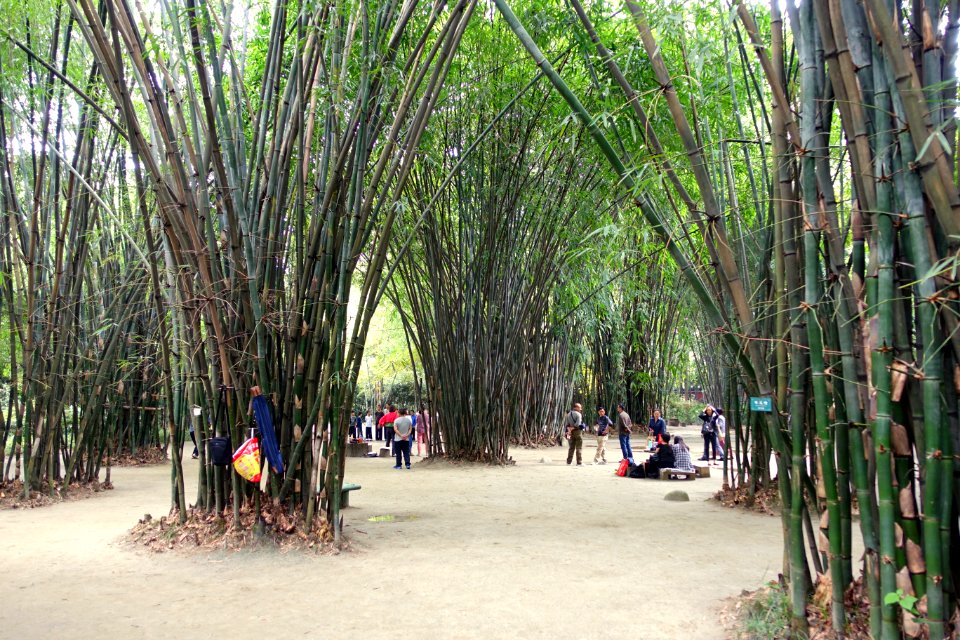 Hanging out - Wangjianglou Park - Chengdu, China - DSC05792