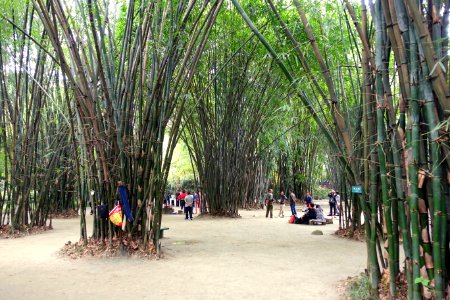Hanging out - Wangjianglou Park - Chengdu, China - DSC05792
