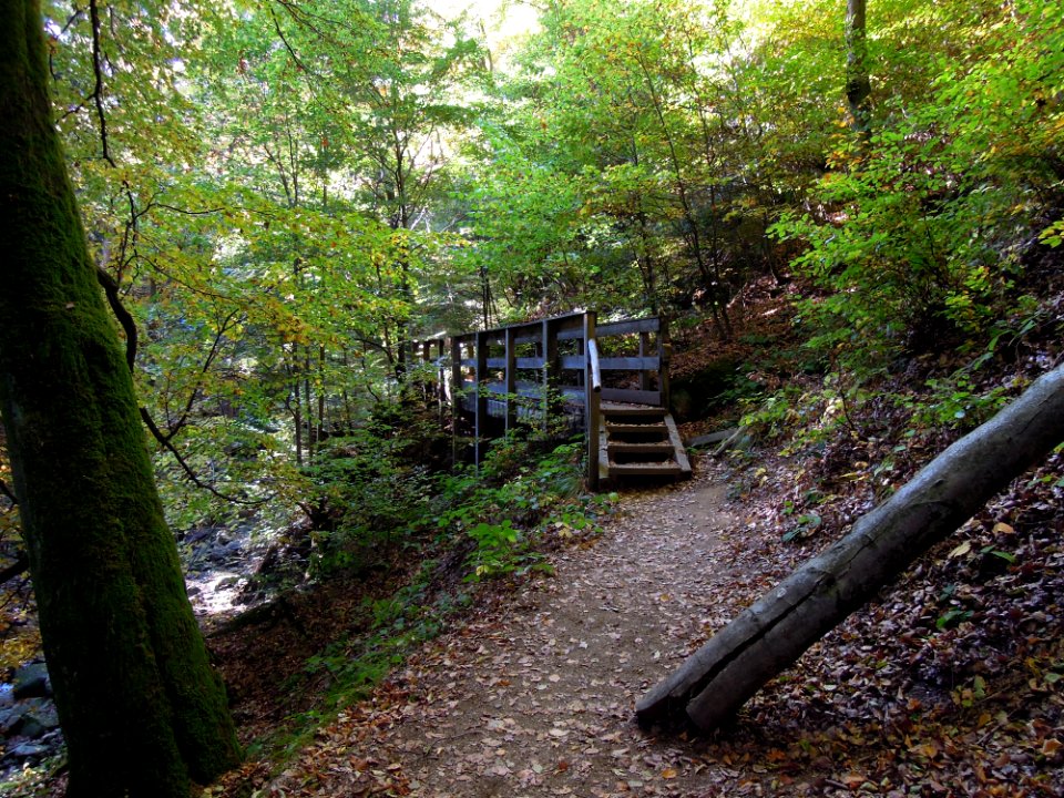 Hangbrücke im Verlauf des Bremer Wegs im Ilsetal wenig oberhalb der Sandtalmündung Mitte Oktober 2018