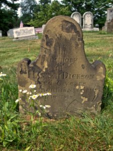 Hannah Dickson Tombstone, Hiland Cemetery, 2015-08-17, 01