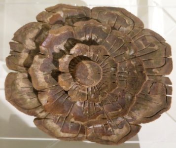 Hand-carved finial from ceiling coffers of Cochini Synagogues