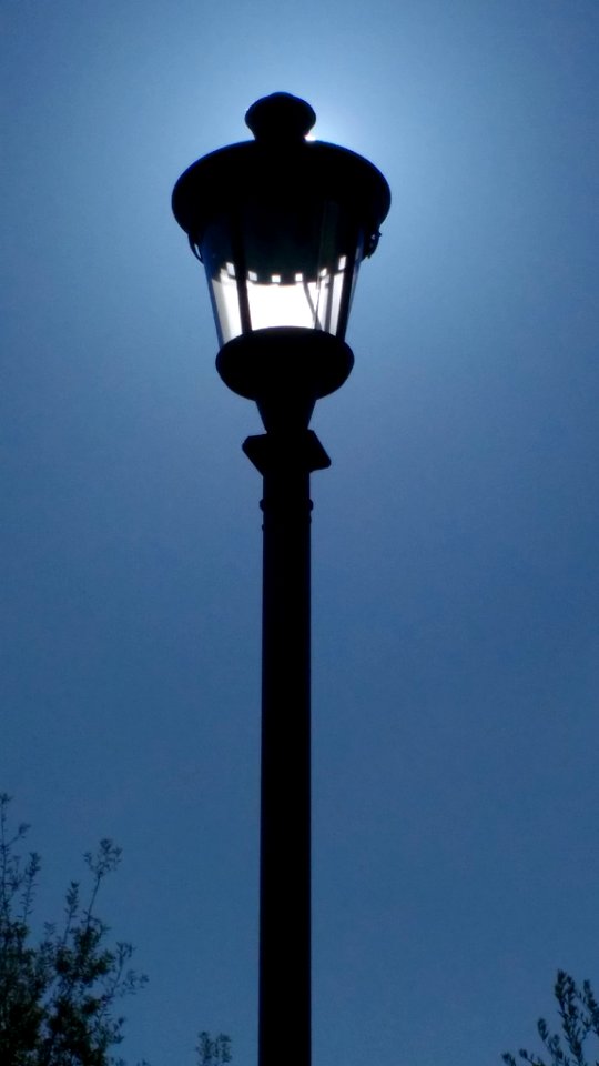 Handy Cam Faces The Sun (154292099)