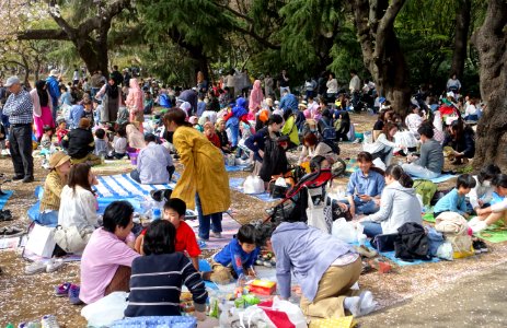 Hanami - Shinjuku Gyo-en - Tokyo, Japan - DSC05721