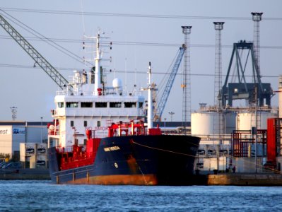 Hanne Theresa (ship, 2002) - IMO 9246918, MMSI 220125000, Callsign OUJQ2, Port of Antwerp