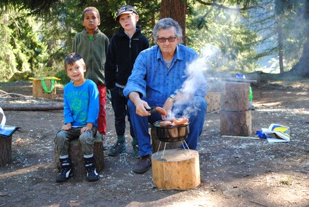 Picnic forest generations