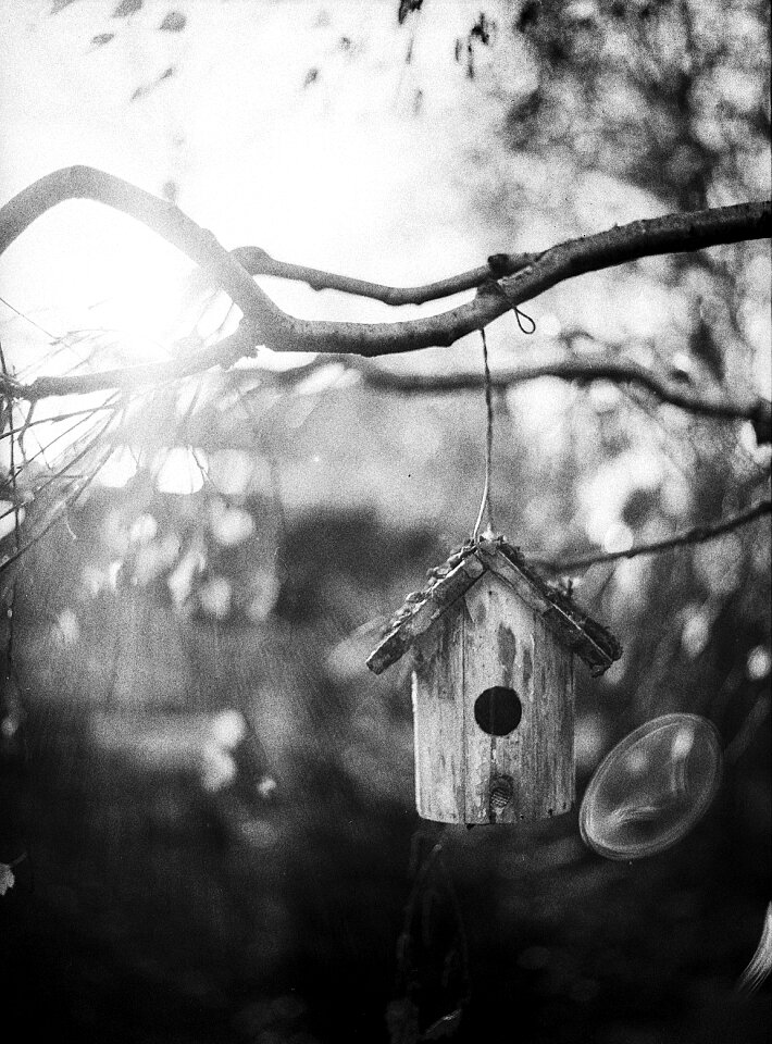 Rural feeder nature