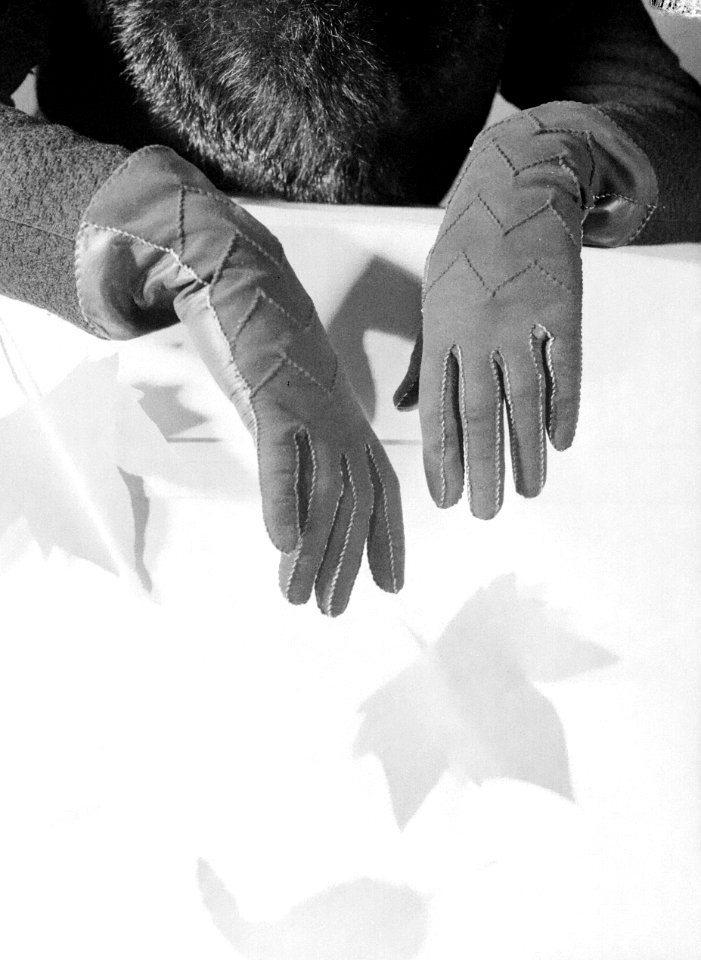 Handschoenen, Bestanddeelnr 255-9695