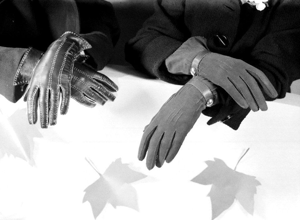 Handschoenen, Bestanddeelnr 255-9694