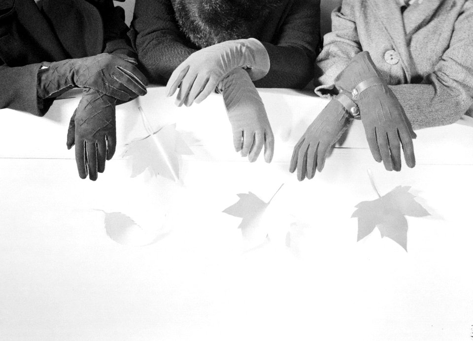 Handschoenen, Bestanddeelnr 255-9686