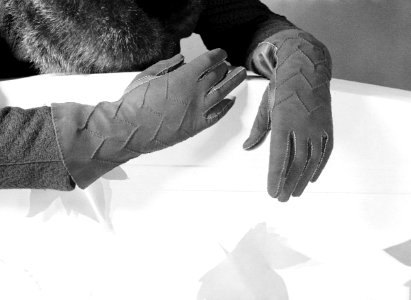 Handschoenen, Bestanddeelnr 255-9696