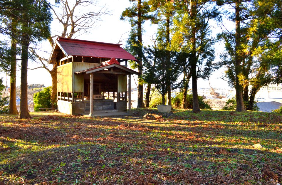 Hachimanzuka-kofun (Tsukuba) funcho