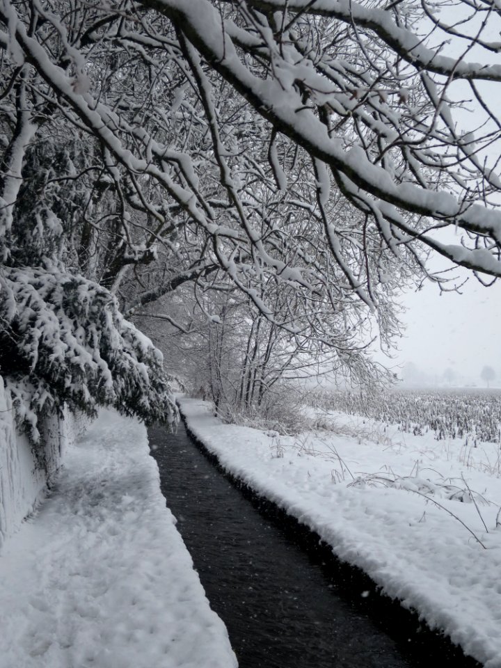 Hachinger Bach 3