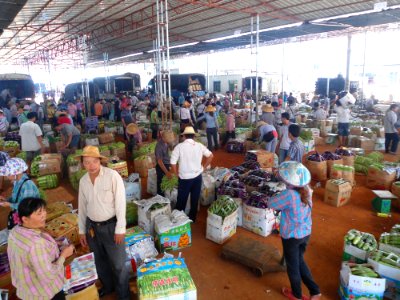 Haikou wholesale vegetable market - 05