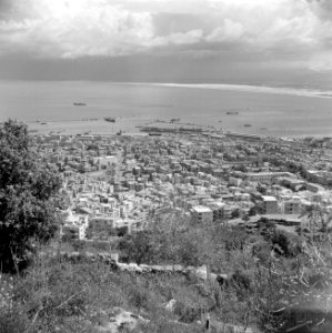 Haifa Havenkwartier van de stad en de baai, gezien vanaf de Karmelberg, Bestanddeelnr 255-0245