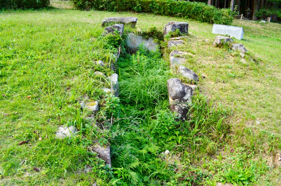 Hachimansha Kofun Group-41, sekishitsu