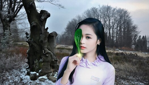 Cute magic magic of seasons