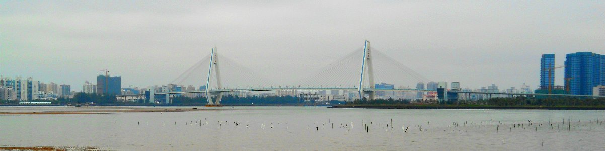 Haikou Century Bridge Haikou 8