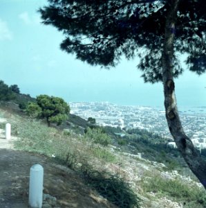 Haifa. De stad met de Bahaitempel en het bijbehorende park gezien vanaf een hoog, Bestanddeelnr 255-9335