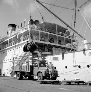 Haifa, haven. Autobanden worden aan van boord gehesen, Bestanddeelnr 255-2147