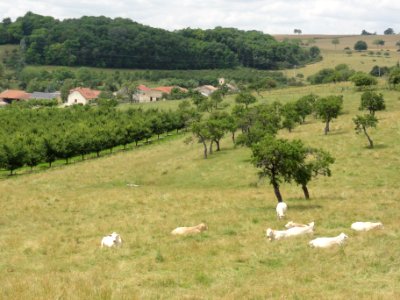 Haigneville (M-et-M) paysage avec vue du village