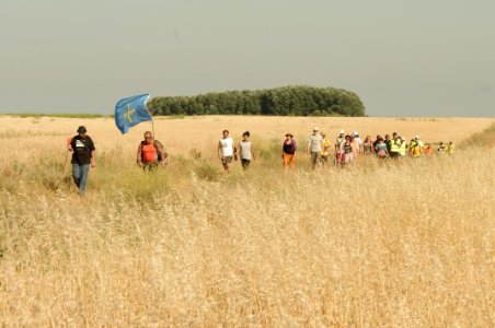 Haciendo camino 032