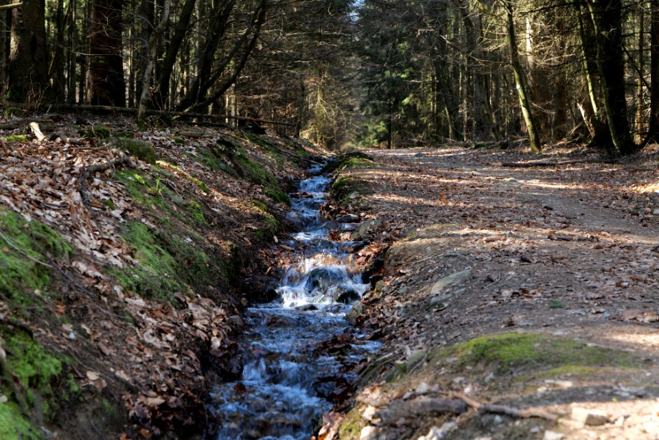 Haderweg Taunus 2020-03-25 15