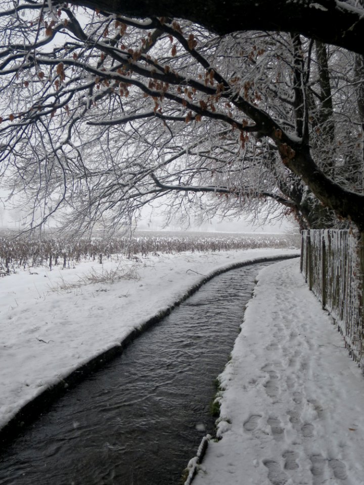 Hachinger Bach 1