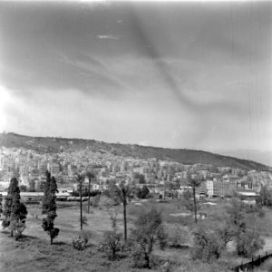 Haifa. Een deel van de stad is tegen de helling van het Karmelgebergte gebouwd, Bestanddeelnr 255-0269 photo
