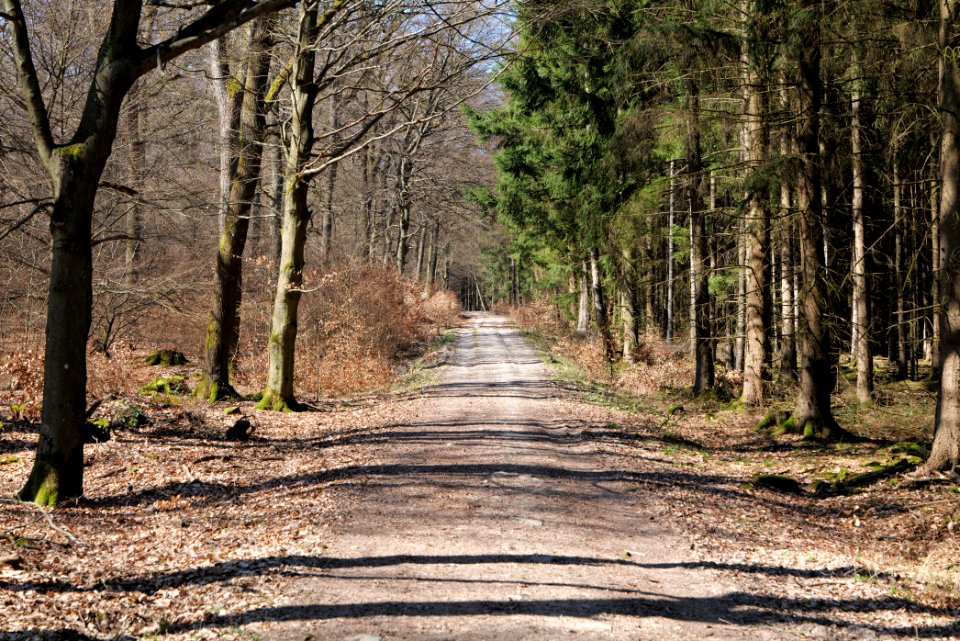 Haderweg Taunus 2020-03-25 14