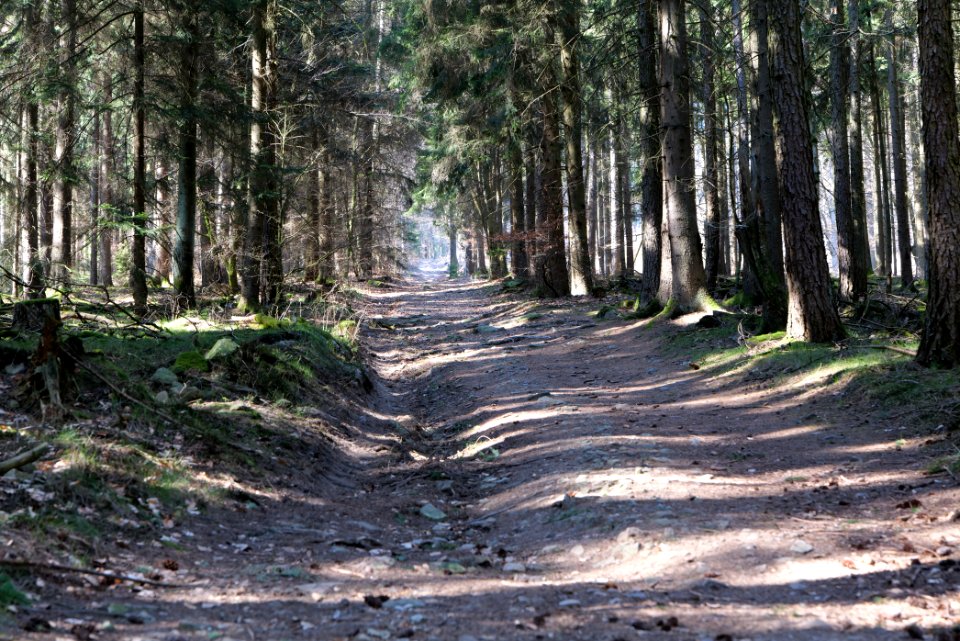 Haderweg Taunus 2020-03-25 18