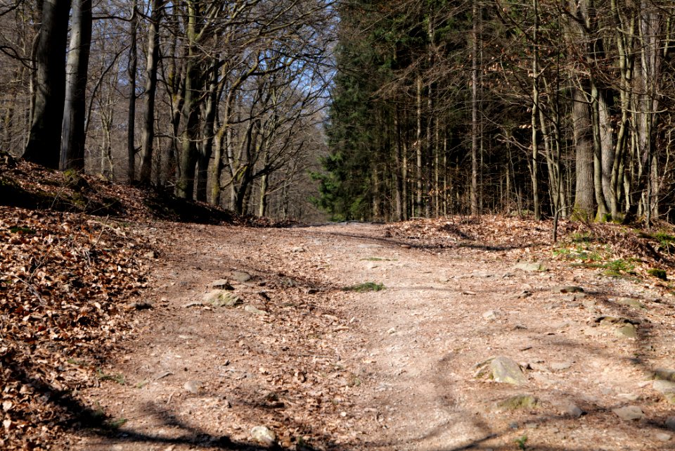 Haderweg Taunus 2020-03-25 12