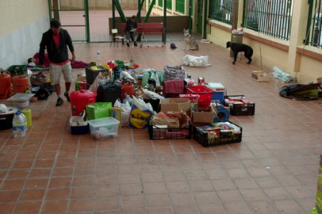 Haciendo camino 029