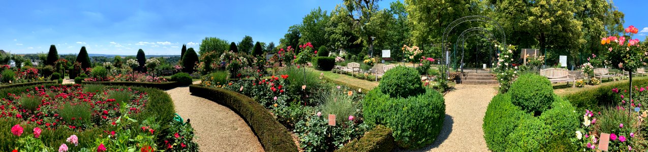 Hadamar, Rosengarten, Panorama
