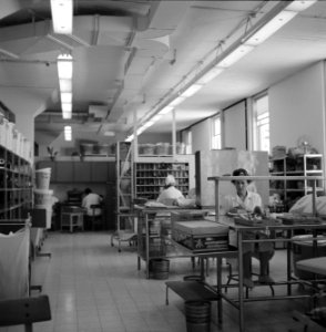 Hadassah universitair medisch centrum Ruimte waarin de voorraadadministratie is, Bestanddeelnr 255-4923