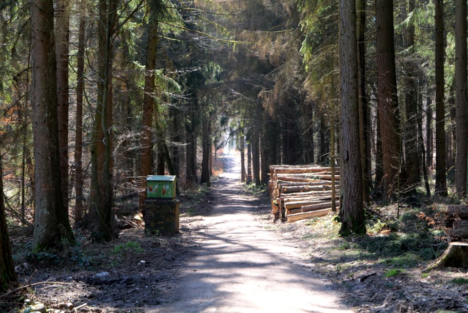 Haderweg Taunus 2020-03-25 08