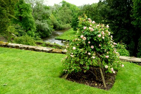 Haddon Hall - Bakewell, Derbyshire, England - DSC02919