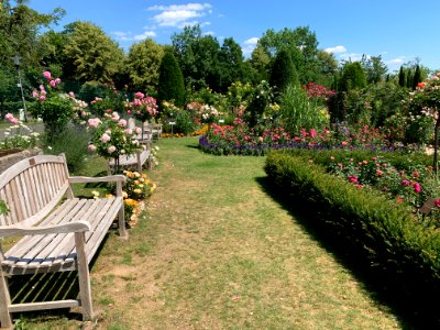 Hadamar, Rosengarten (1)